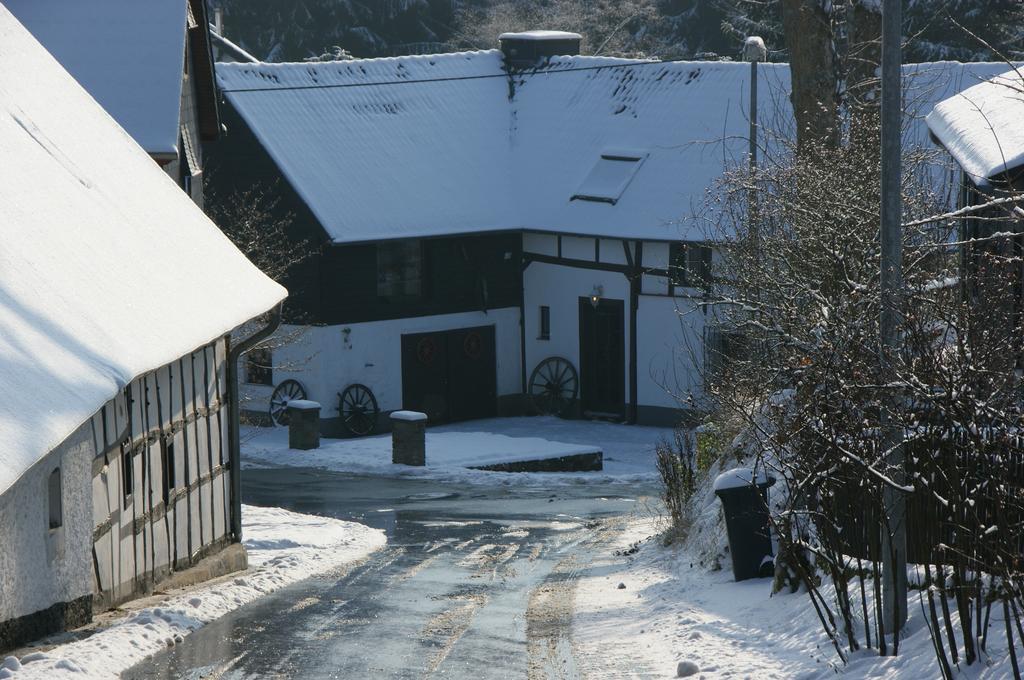 Eifelhoeve In Benenberg ヘレンタール 部屋 写真